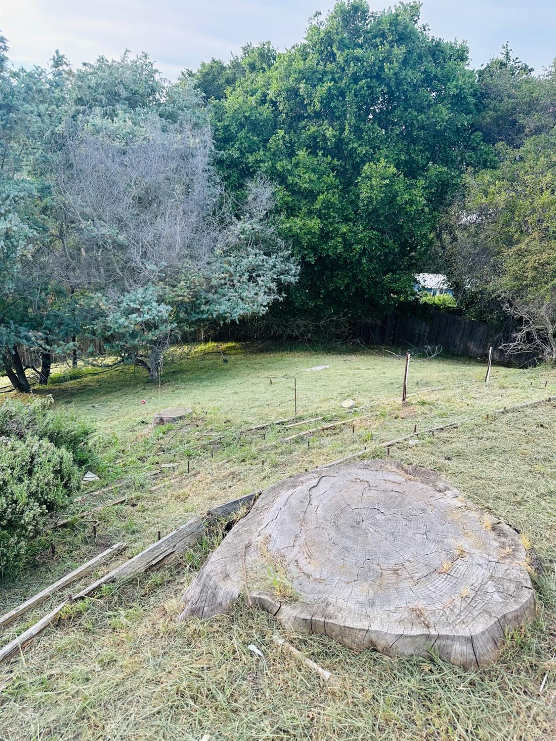 1556 E Street Hayward, CA 94541 - Photo 57 of 65 a view of a water pond