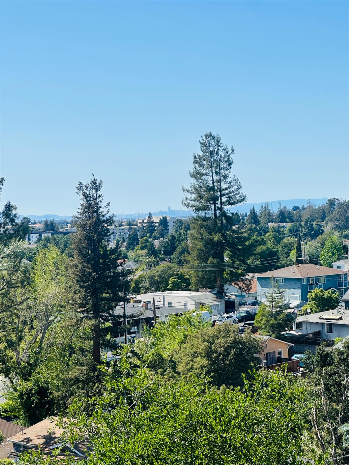 1556 E Street Hayward, CA 94541 - Photo 58 of 65