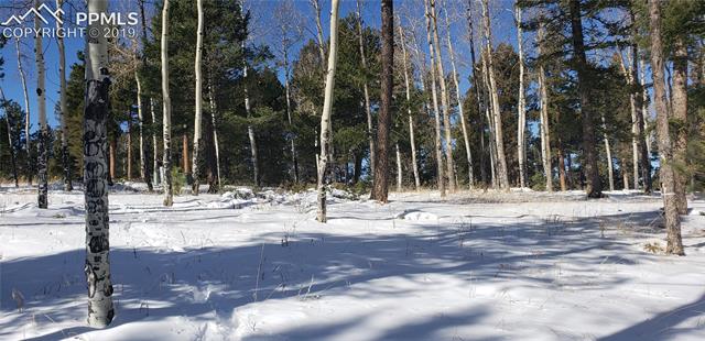 2700 Elk Ridge North Divide, CO 80814 - Photo 9 of 23 possible build area