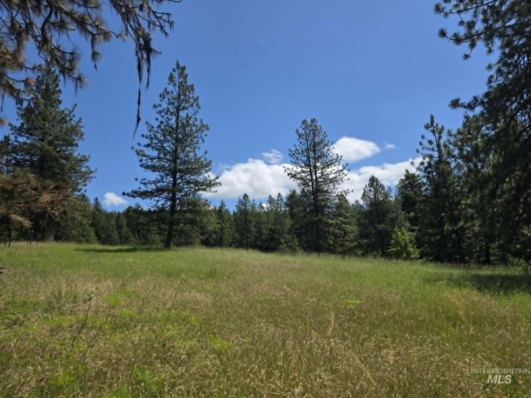 3871 Lakeview Road Orofino, ID 83544 - Photo 48 of 49