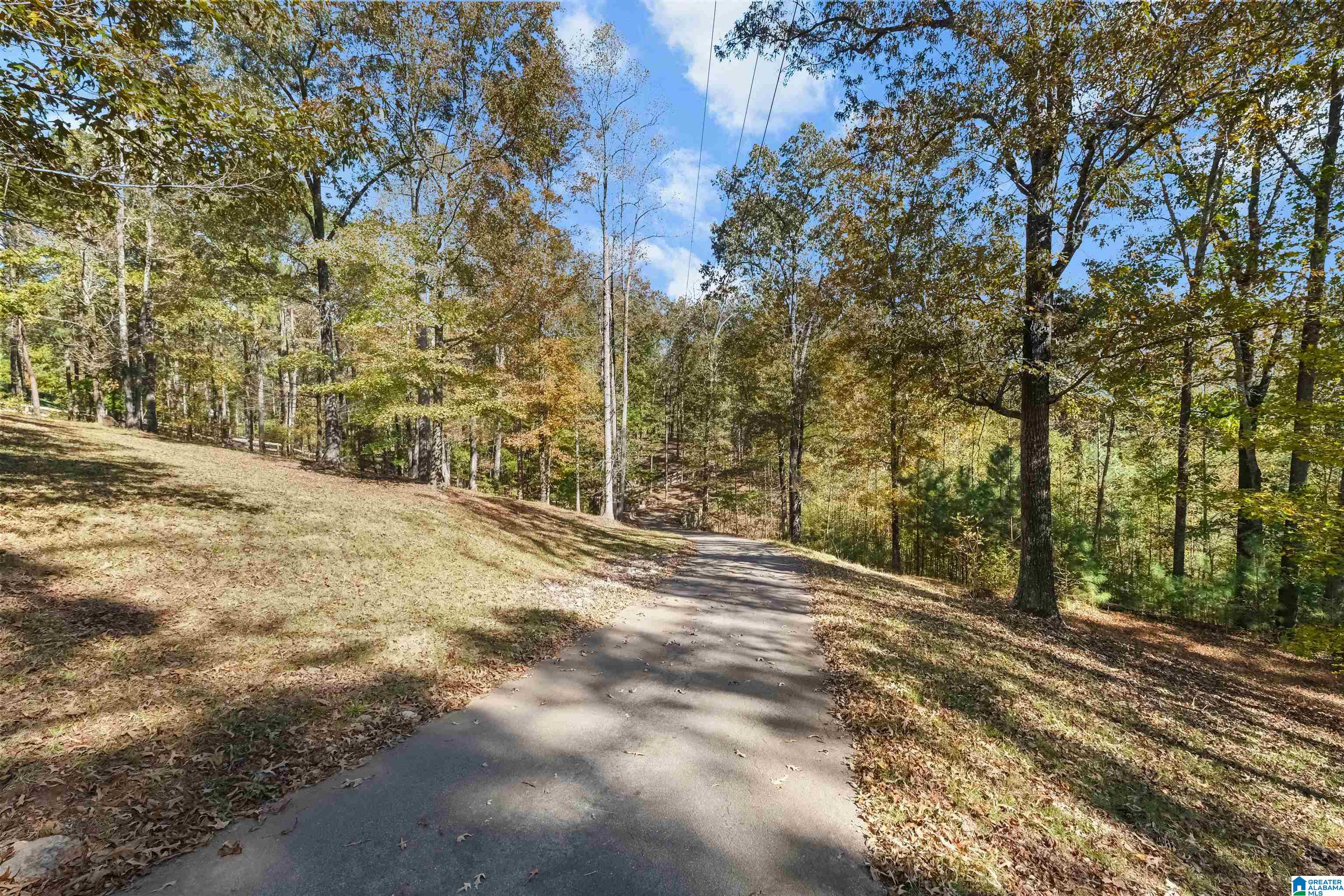 306 Hickory Valley Road Trussville, AL 35173 - Photo 62 of 72