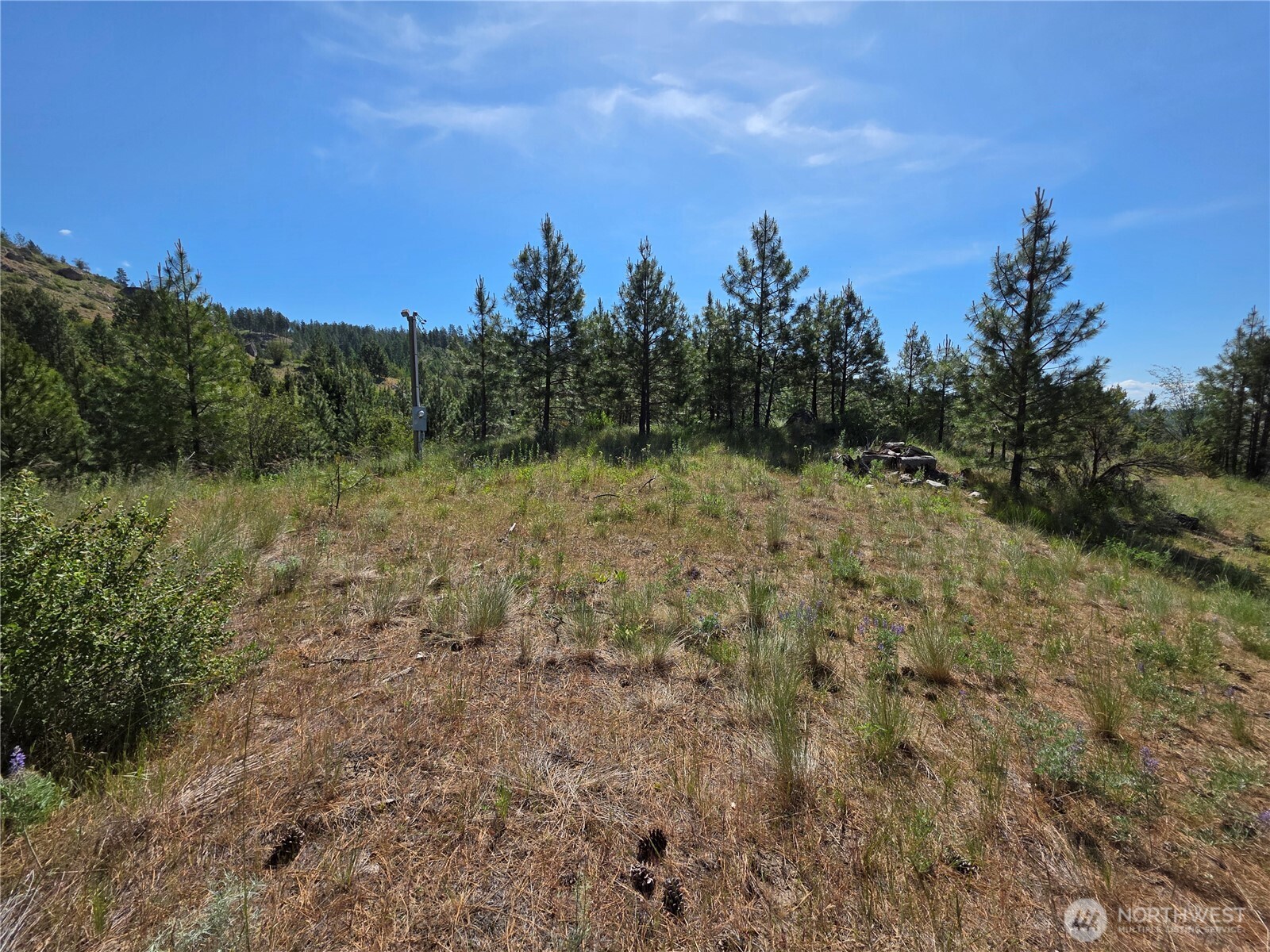 431 J Swanson Mill Road Oroville, WA 98844 - Photo 9 of 36