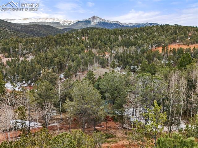 580 Timber Ridge Road Divide, CO 80814 - Photo 24 of 29