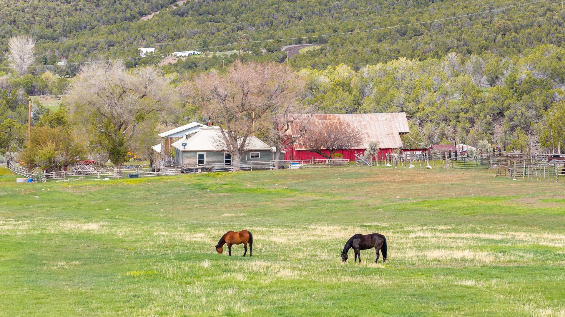 11260 54 7/10 Road Molina, CO 81646 - Photo 1 of 31 a view of swimming pool with garden