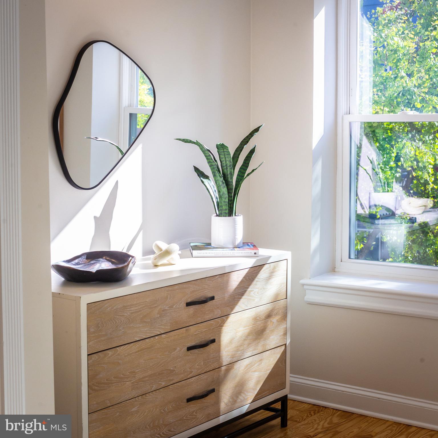 1311 Riggs Street Northwest Washington, DC 20009 - Photo 41 of 101 a bathroom with a granite countertop sink a mirror and a potted plant