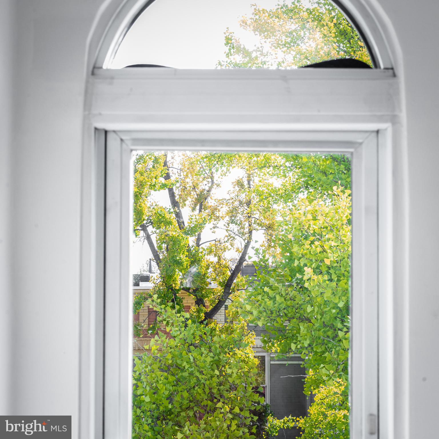 1311 Riggs Street Northwest Washington, DC 20009 - Photo 61 of 101 a view of a window in a yard