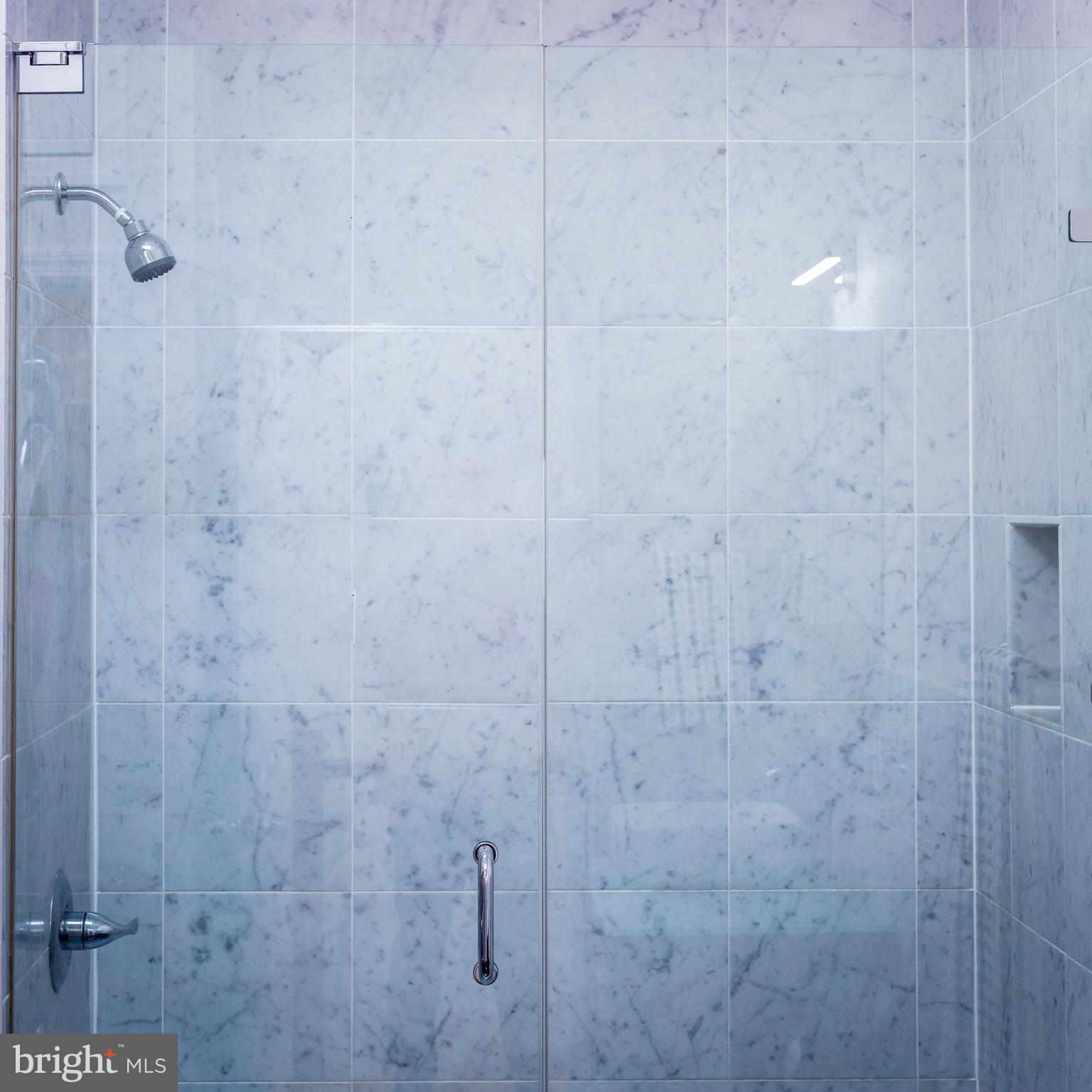 1311 Riggs Street Northwest Washington, DC 20009 - Photo 71 of 101 a bathroom with a shower