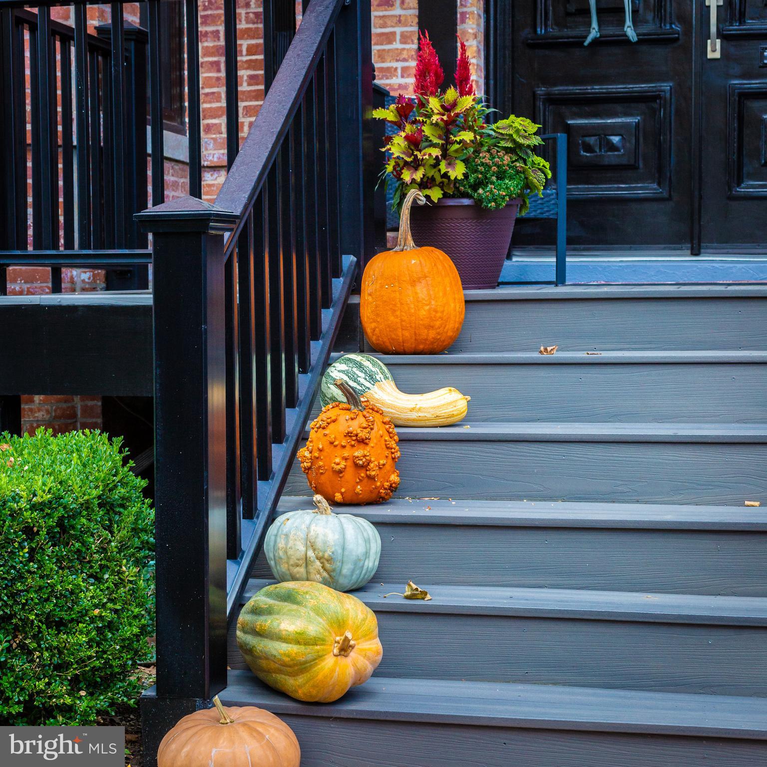 1311 Riggs Street Northwest Washington, DC 20009 - Photo 95 of 101 a vase of flowers sitting on a table