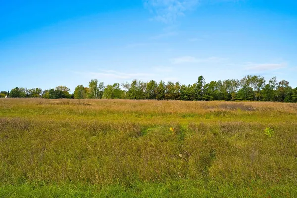 $49,500 | Parkway Road, Unit 6, Pound, WI 54161
