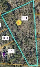 811 Morrison Bridge Road Vass, NC 28394 - Photo 1 of 1 View of land