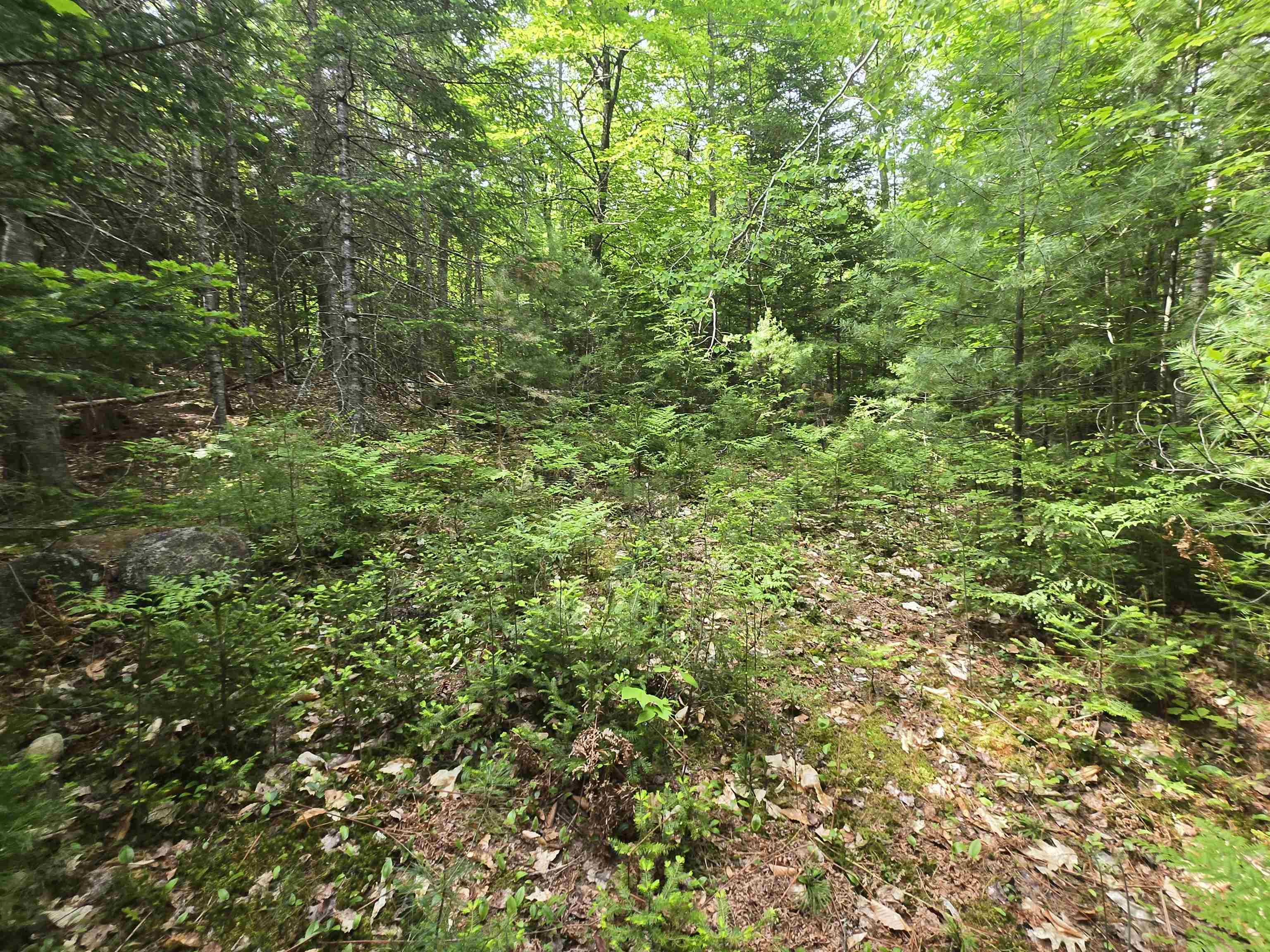 0 Thorn Hill Road, Unit R148B Jackson, NH 03846 - Photo 14 of 21