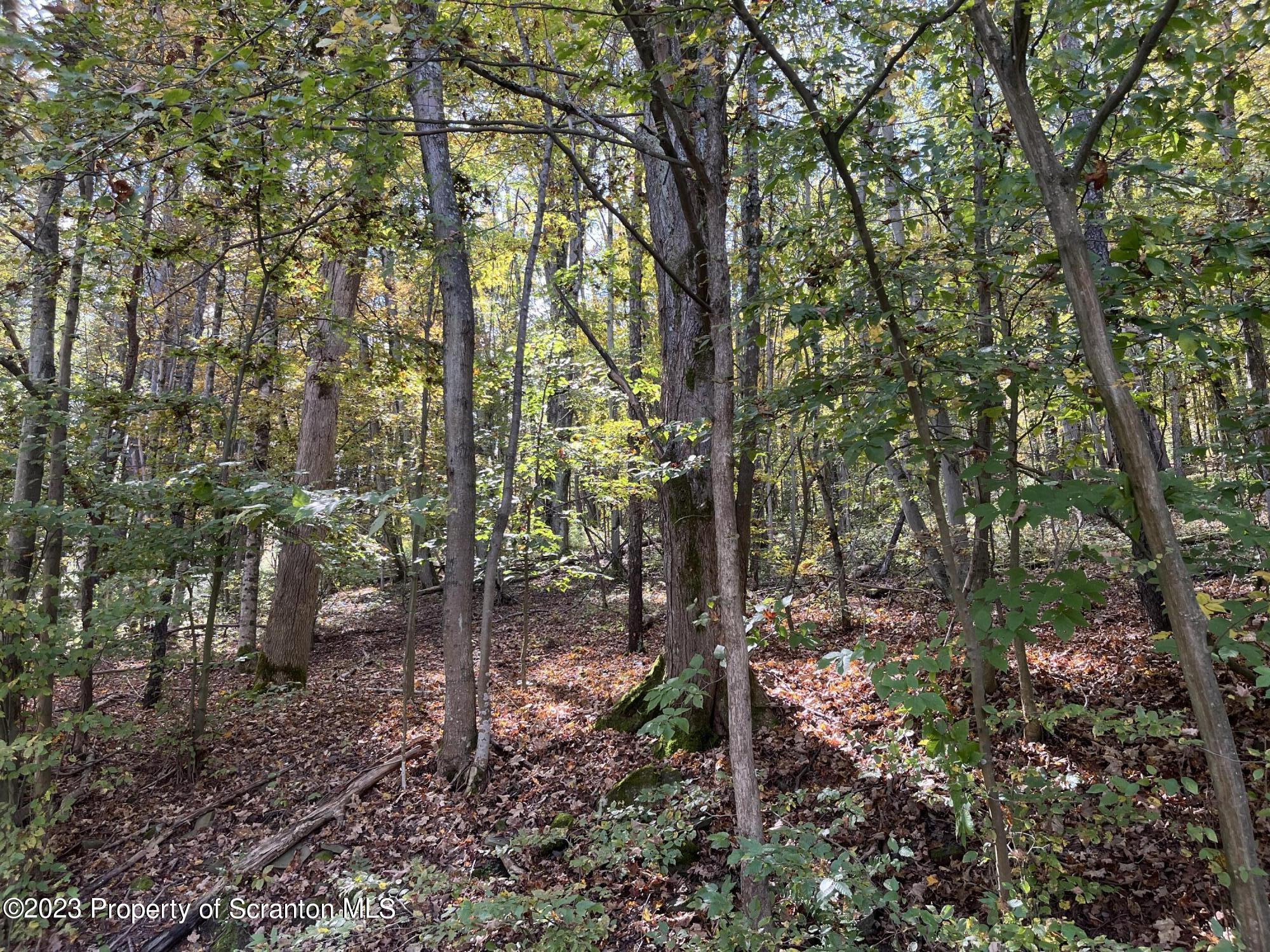 858 State Route Little Meadows, PA 18830 - Photo 5 of 8 a backyard of a house with lots of green space