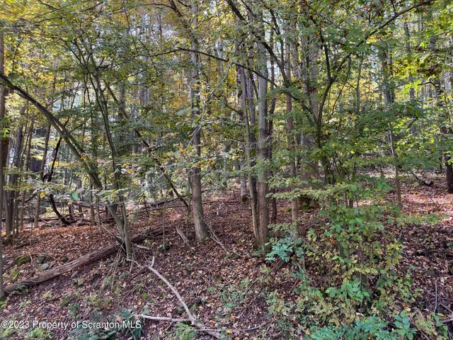 a backyard of a house with lots of plants and large trees