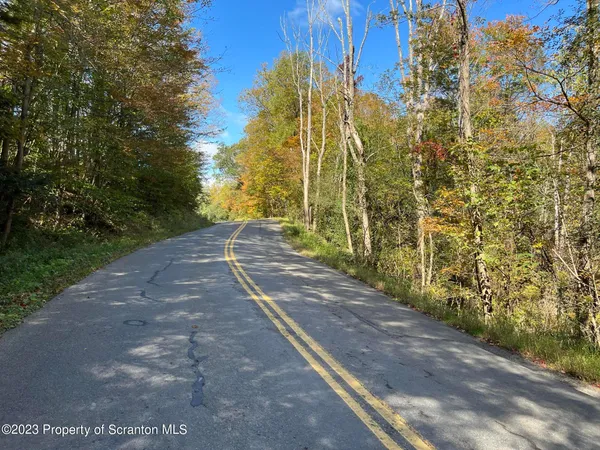 a view of a city with tall trees