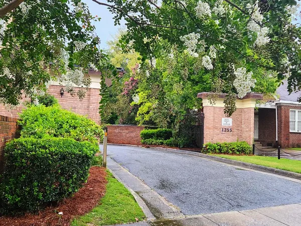 a view of a back yard