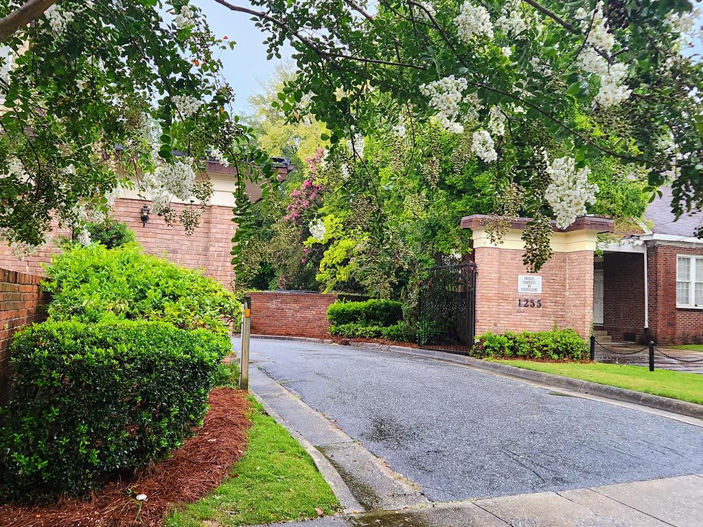 a view of a back yard
