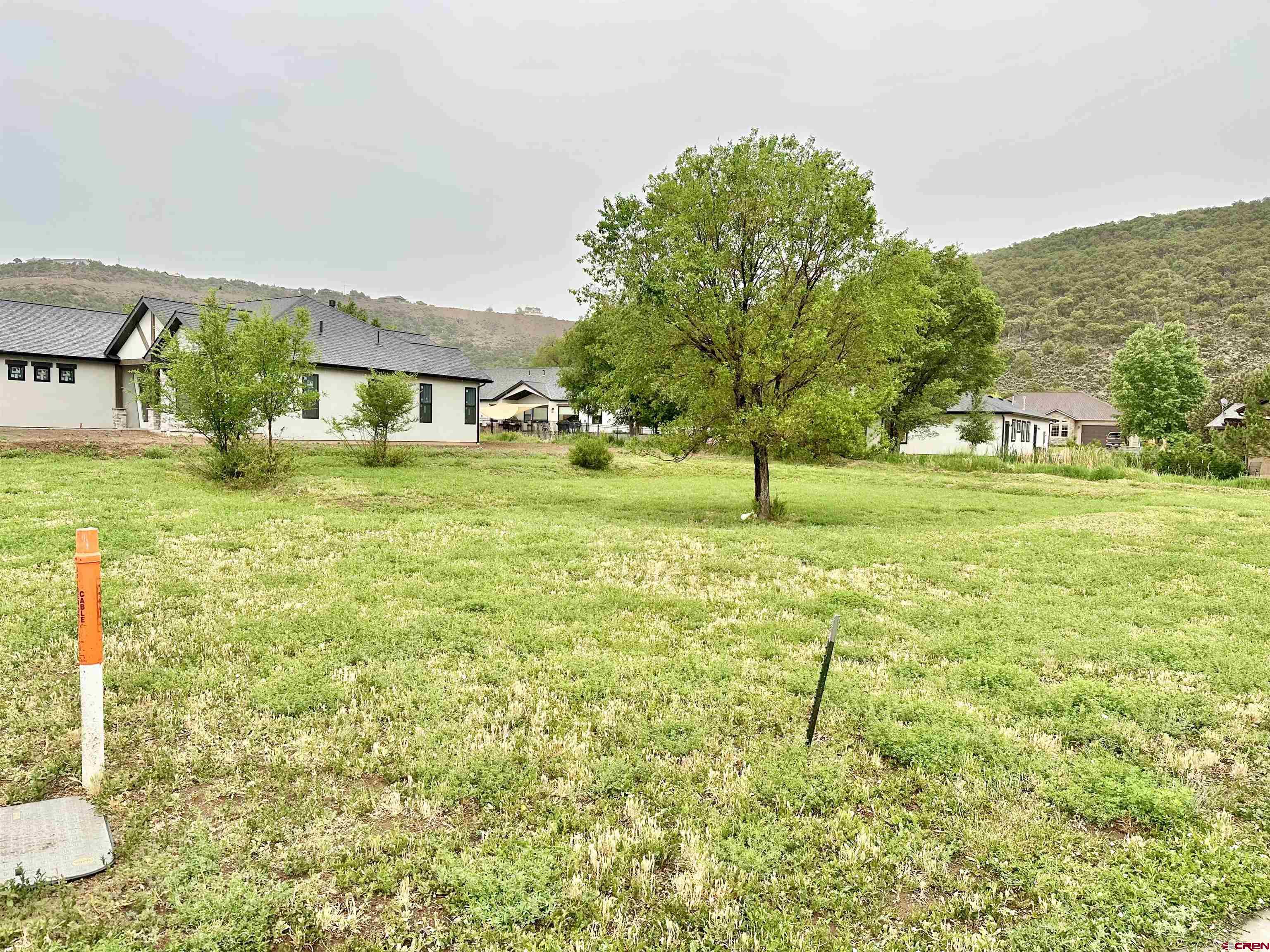 a view of a garden with a house