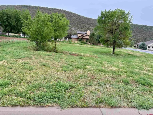 a view of a park that has large trees