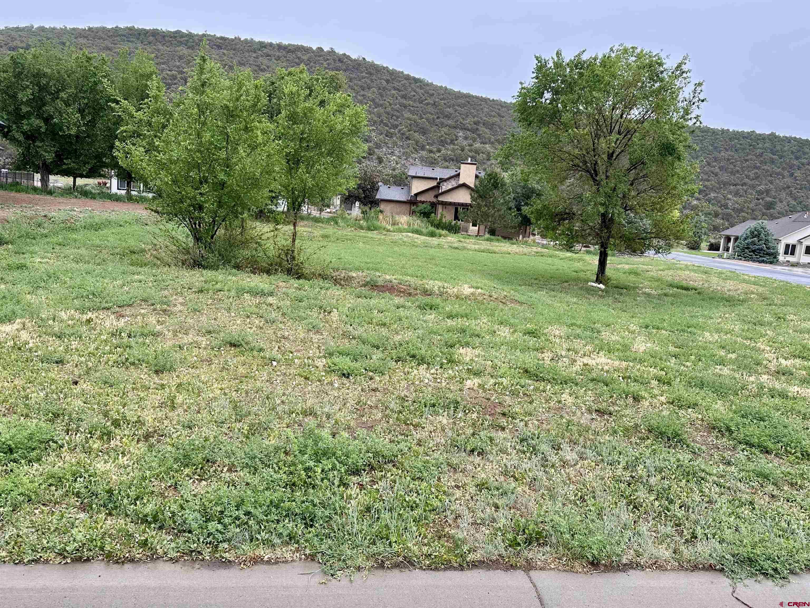 855 Southeast Pinyon Street Cedaredge, CO 81413 - Photo 6 of 7 a view of a park that has large trees