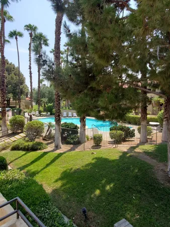 a view of a park with large trees