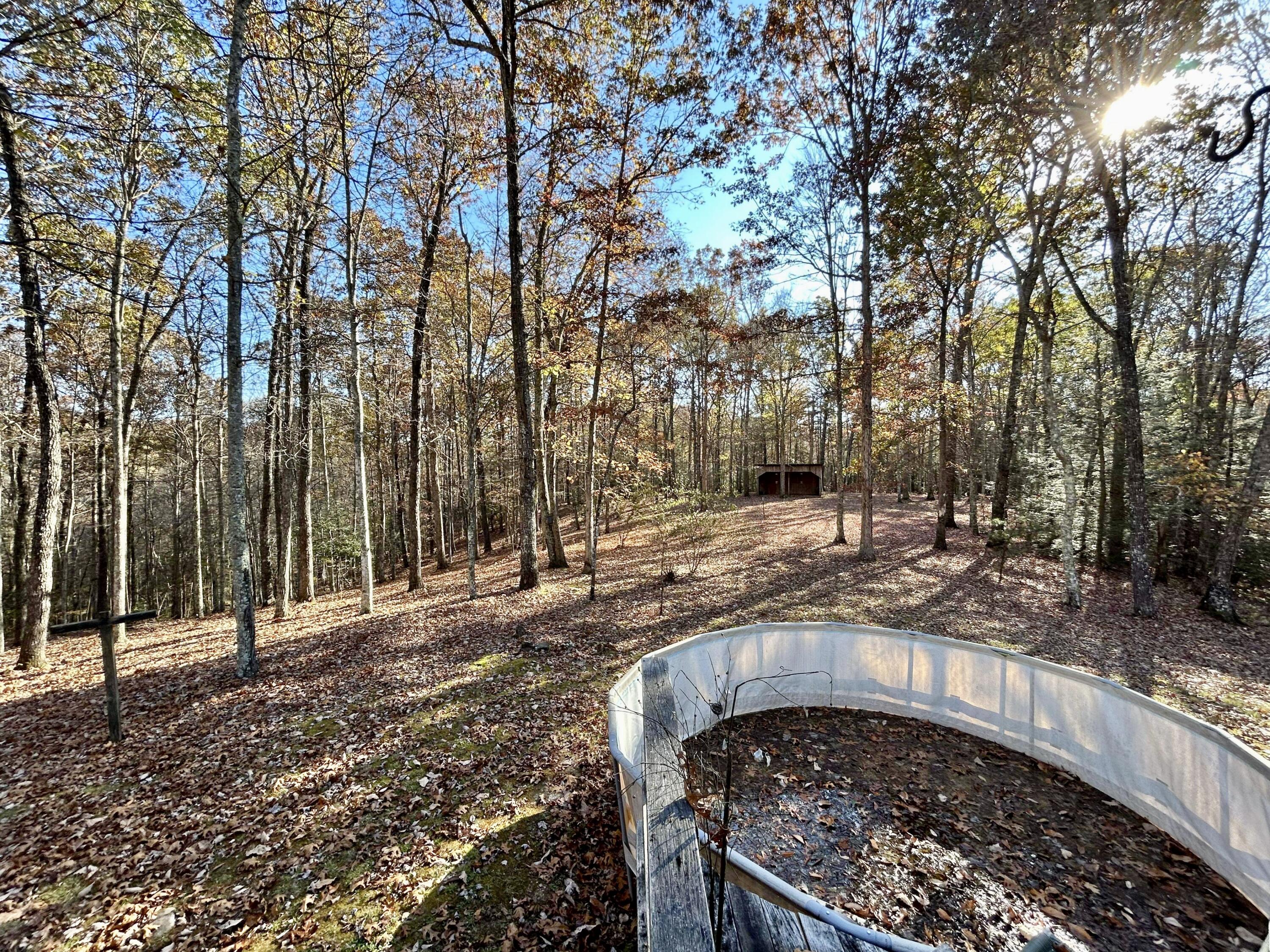 200 Redlor Rdg Road Somerset, KY 42501 - Photo 5 of 40 C82EBFBA-3877-42A0-8498-BC4043321B13