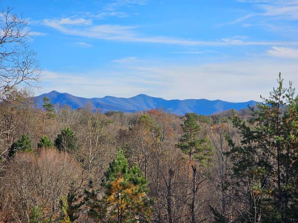 2567 Todd Shook Road Young Harris, GA 30582 - Photo 7 of 62