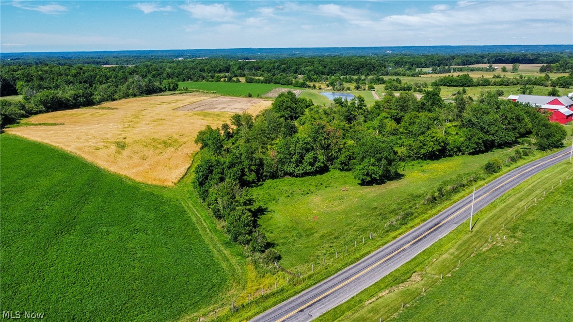 Holshoe Road Homerville, OH 44235 - Photo 2 of 28