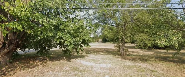 a view of a yard with a tree