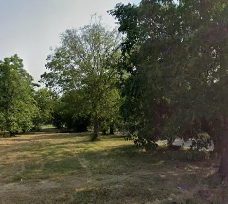 a view of outdoor space with trees all around