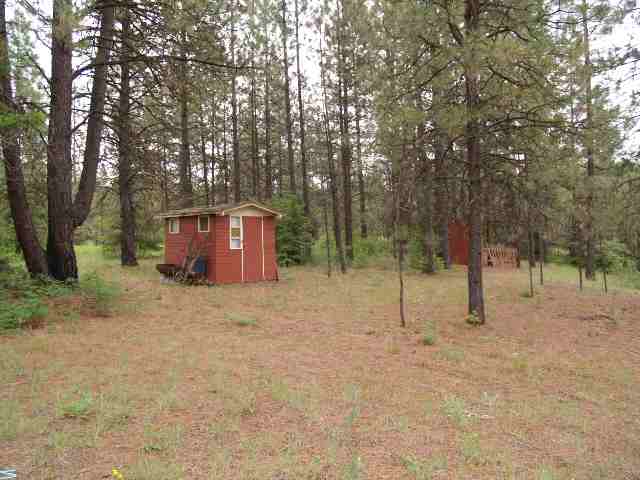 0 Dome Road Springdale, WA 99173 - Photo 4 of 9
