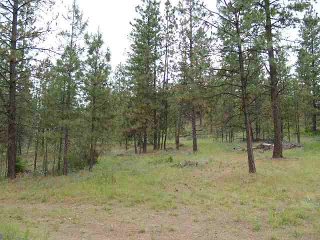 0 Dome Road Springdale, WA 99173 - Photo 5 of 9