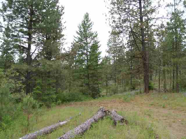 0 Dome Road Springdale, WA 99173 - Photo 6 of 9