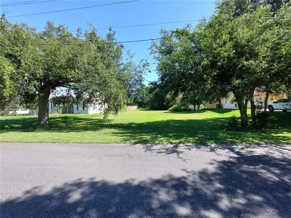 a view of a park with large trees