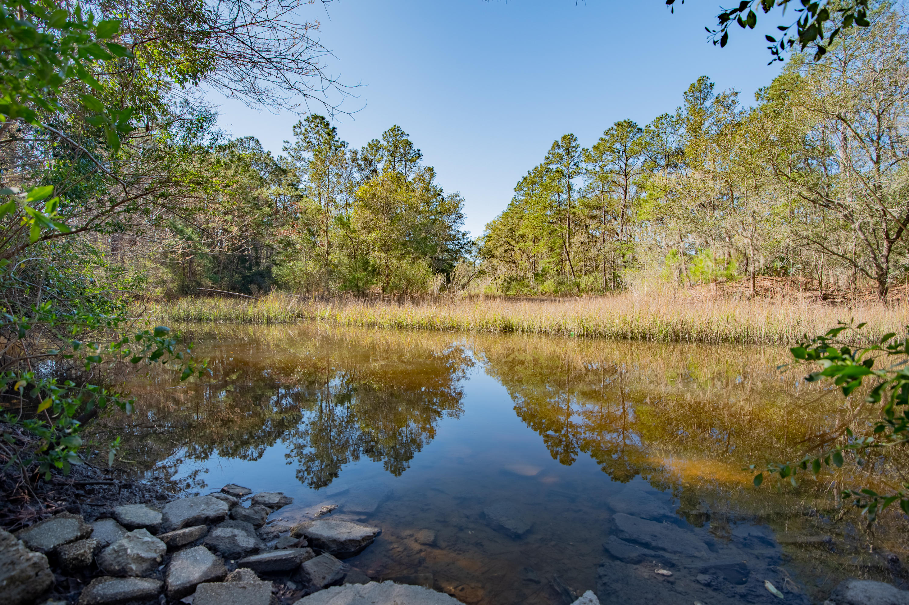 2841 State Rd S-10-1156 Johns Island, SC 29455 - Photo 1 of 7 2841PlowGroundRoad-KeenEyeMarketing-18