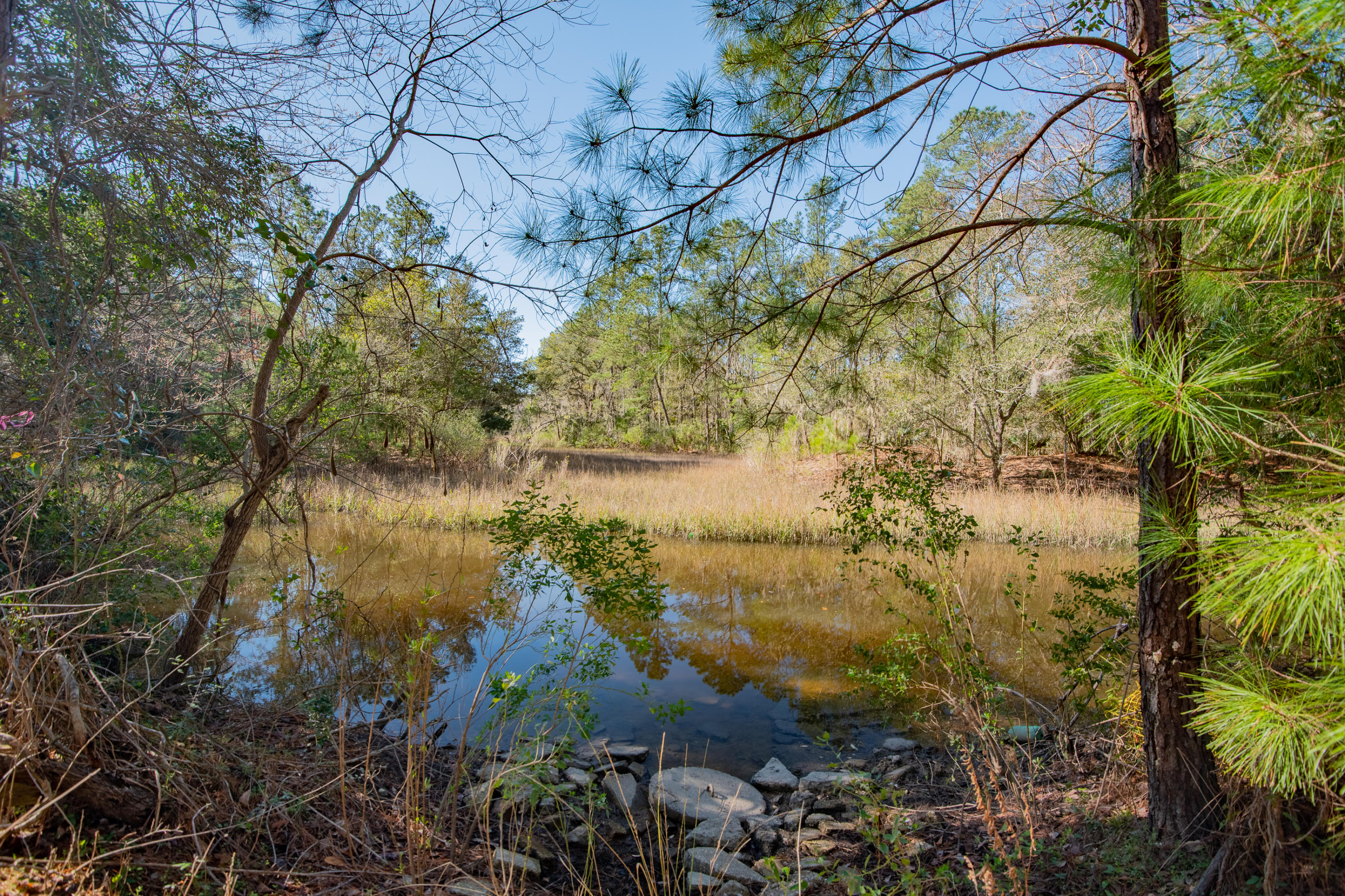 2841 State Rd S-10-1156 Johns Island, SC 29455 - Photo 6 of 7 2841PlowGroundRoad-KeenEyeMarketing-19