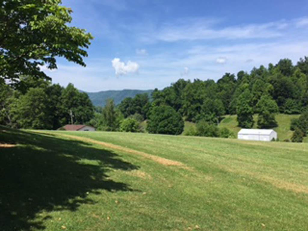 530 Tipton Road Unicoi, TN 37692 - Photo 5 of 23 Photo 33