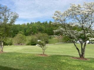 530 Tipton Road Unicoi, TN 37692 - Photo 6 of 23 IMG_0488