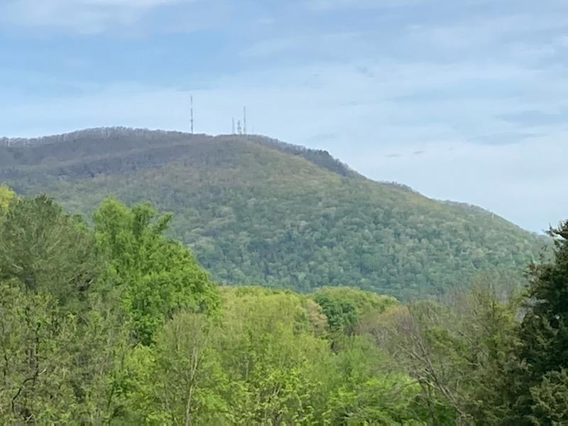 530 Tipton Road Unicoi, TN 37692 - Photo 7 of 23 IMG_0487
