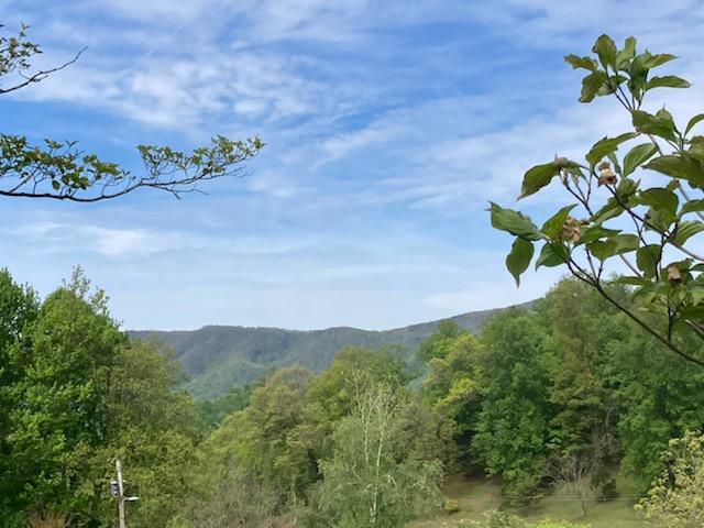 530 Tipton Road Unicoi, TN 37692 - Photo 8 of 23 IMG_0489