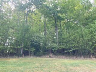 530 Tipton Road Unicoi, TN 37692 - Photo 10 of 23 IMG_0491