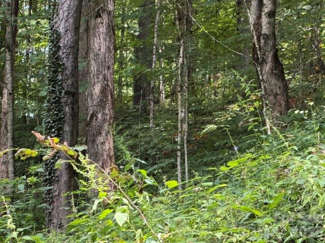 Lot 33 Sara Ridge Road Waynesville, NC 28786 - Photo 13 of 26 Gallery Image 13