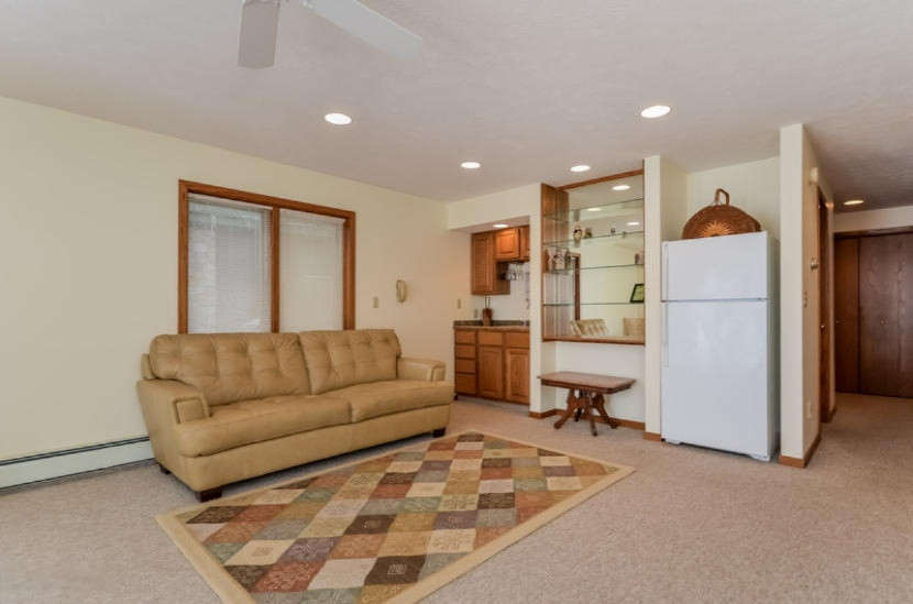 2165 Dagget Road Pierson, MI 49339 - Photo 14 of 28 025-Family_Room-1392116-mls