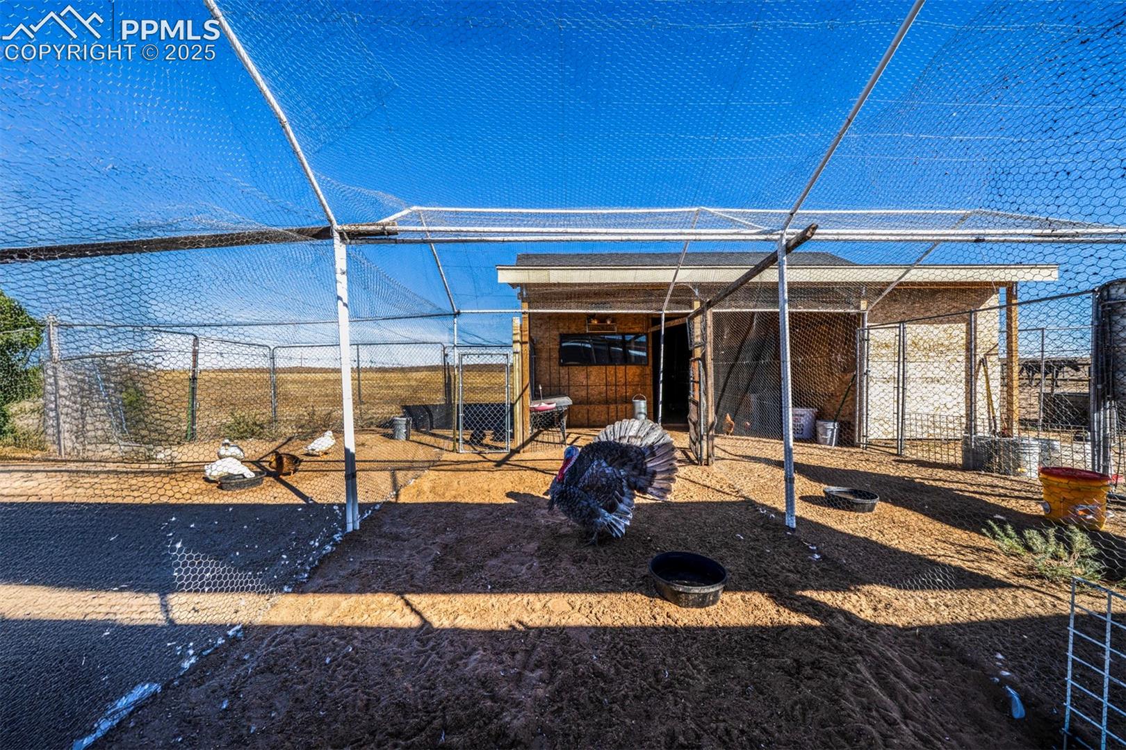 24225 Myers Road Colorado Springs, CO 80928 - Photo 36 of 47 Gallery Image 36