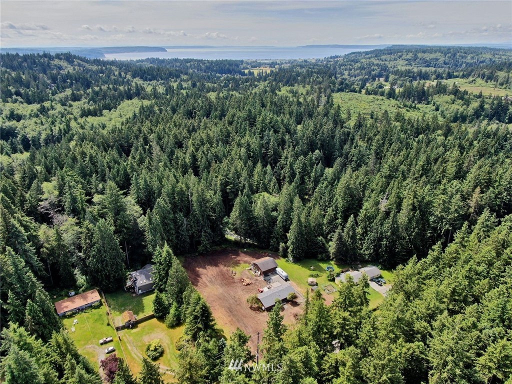 5105 East Harbor Road Freeland, WA 98249 - Photo 18 of 30 a view of a lush green forest