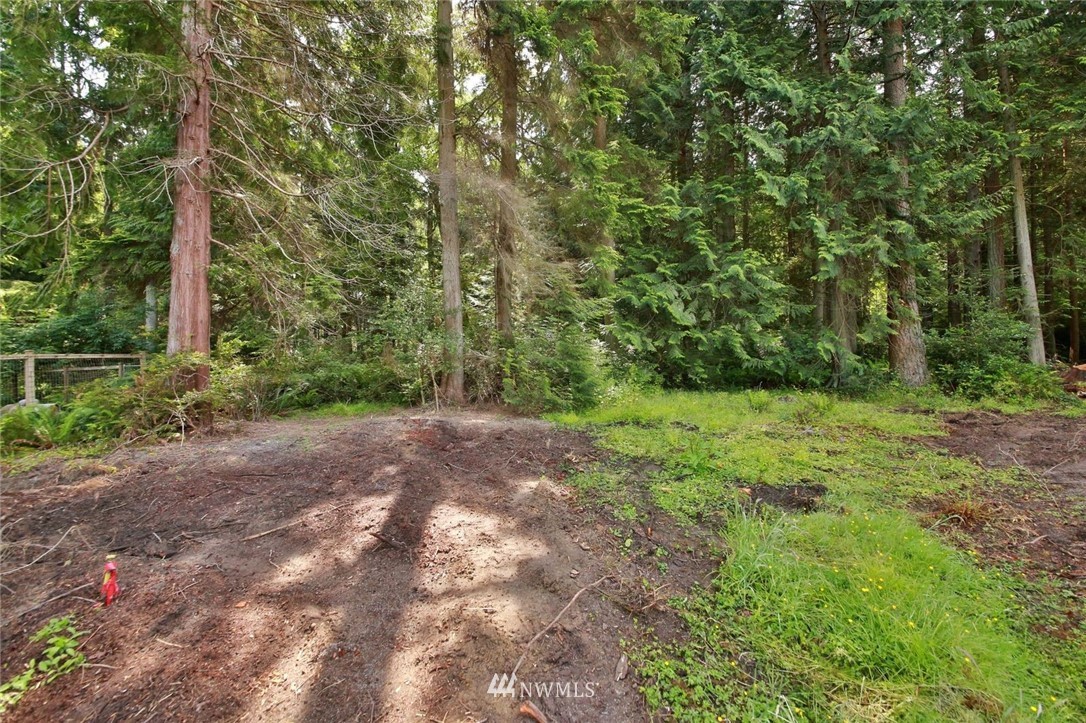5105 East Harbor Road Freeland, WA 98249 - Photo 3 of 30 a view of a yard with plants and trees