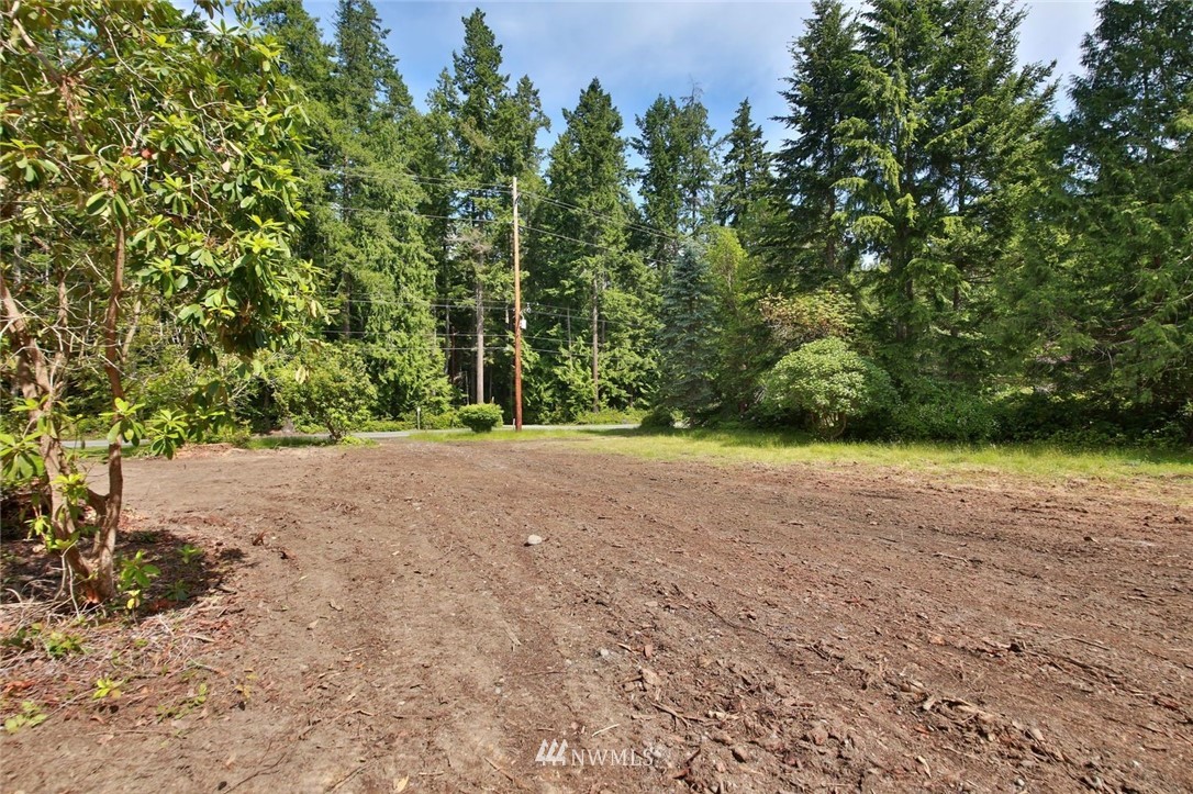5105 East Harbor Road Freeland, WA 98249 - Photo 27 of 30 a view of a yard with a tree