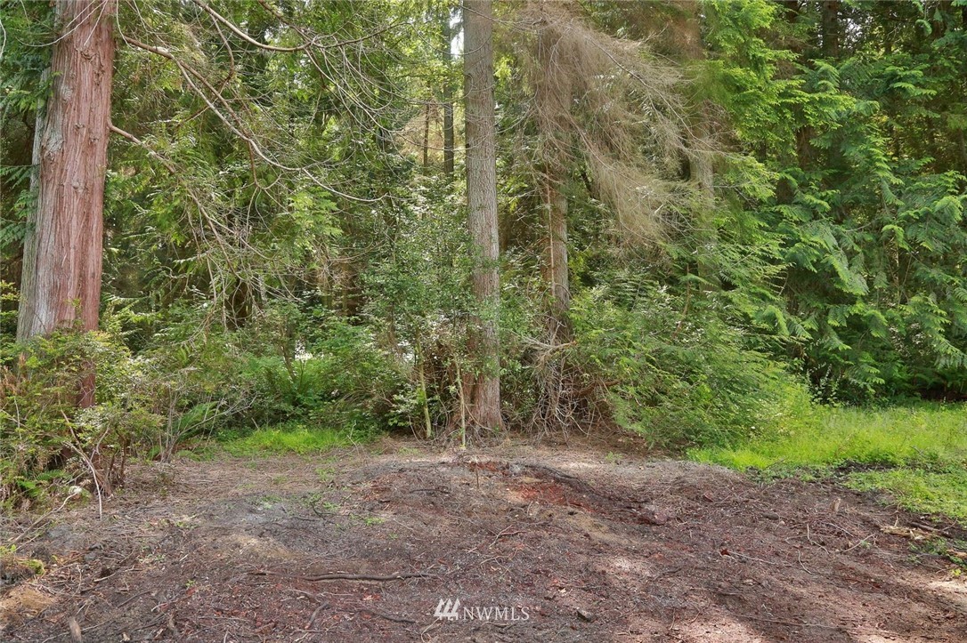 5105 East Harbor Road Freeland, WA 98249 - Photo 4 of 30 a view of a forest with trees in the background