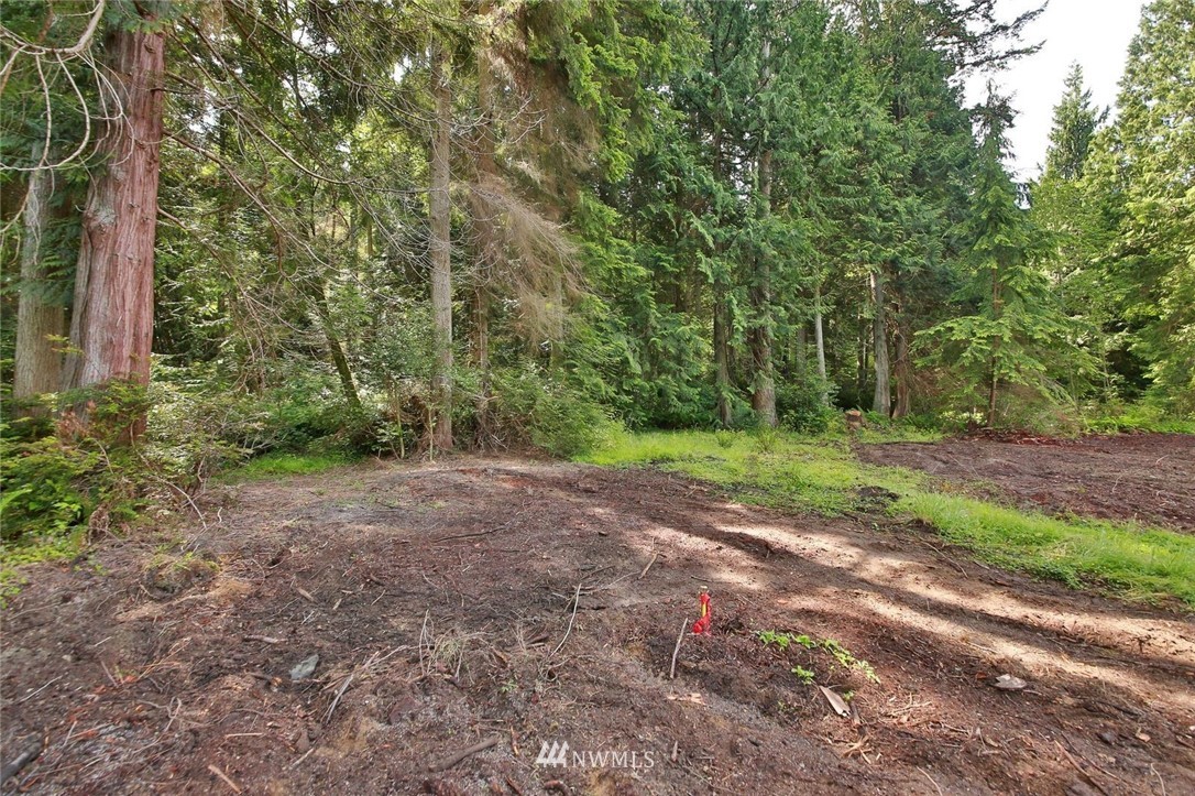 5105 East Harbor Road Freeland, WA 98249 - Photo 5 of 30 a view of a yard with a tree