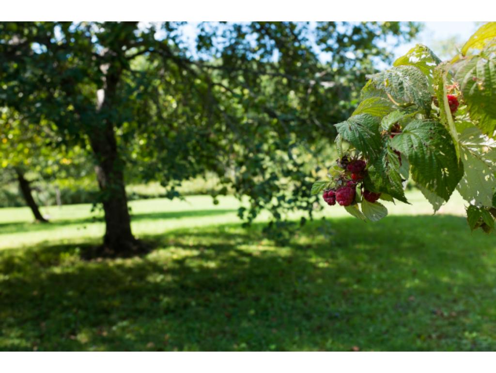 1669 High Pastures Road Woodstock, VT 05091 - Photo 18 of 27 Gallery Image 18
