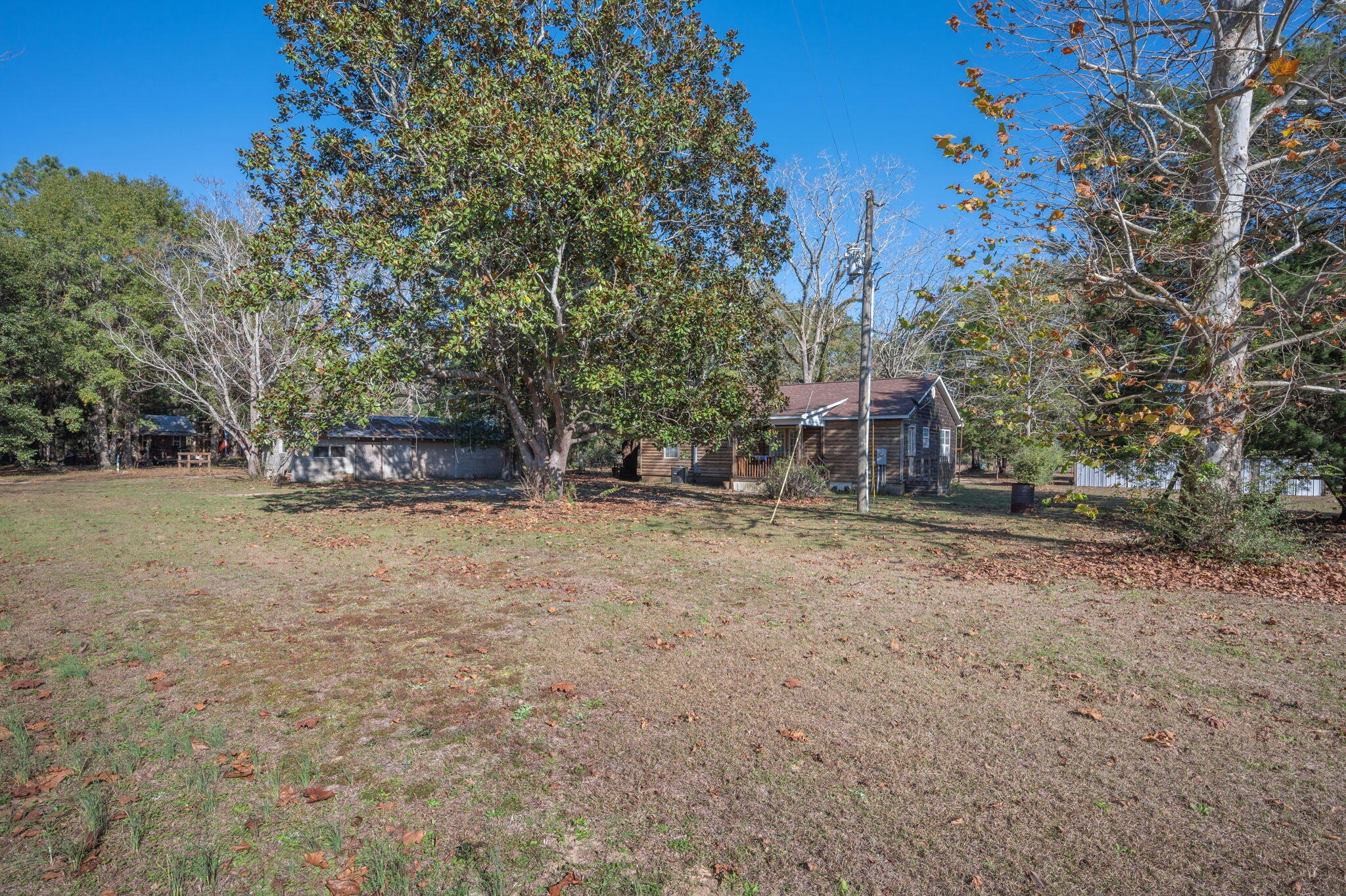 8308 Stokes Road Laurel Hill, FL 32567 - Photo 11 of 27 a view of a backyard with large trees